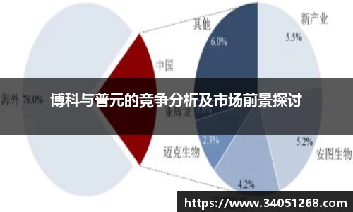 博科与普元的竞争分析及市场前景探讨